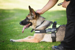 K9-security-Melbourne