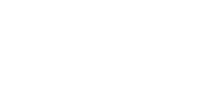 Security-Services